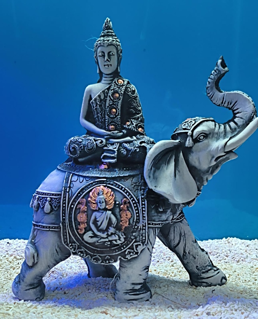 BUDA  EN ELEFANTE
