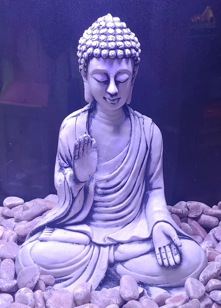 BUDA GRANDE