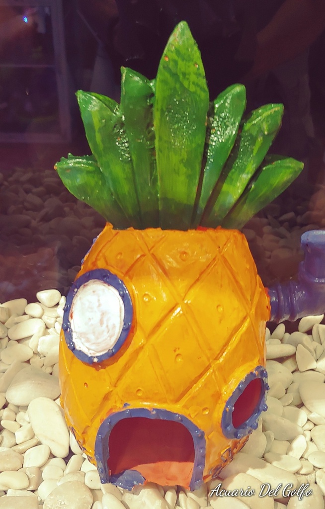 Casa Bob Esponja Chica