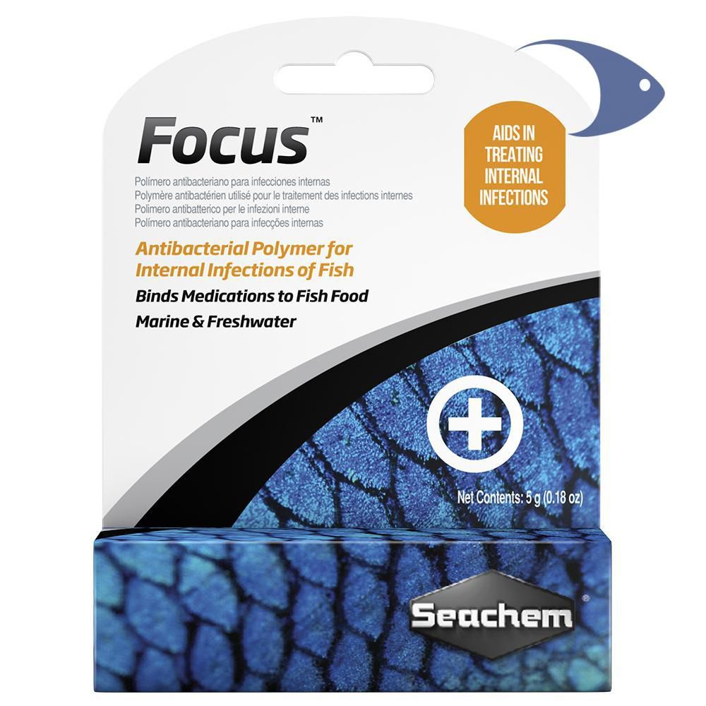 FOCUS 5 G