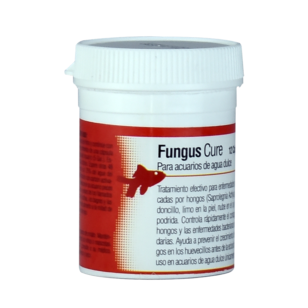 FUNGUS CURE 1 CAPSULA