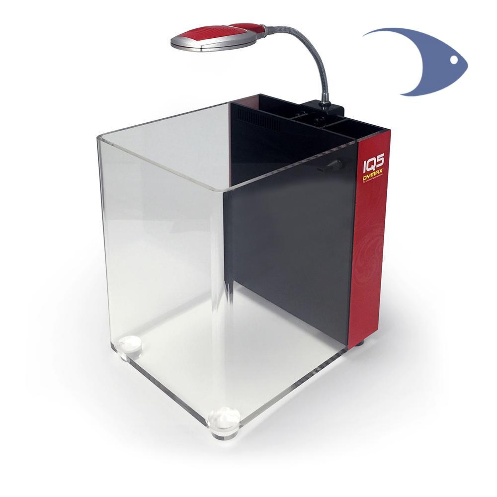 IQ5 Acuario acrílico c/filtro y lámpara LEd 13 l