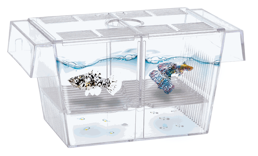 MATERNIDAD FLOTANTE 1.4 LT