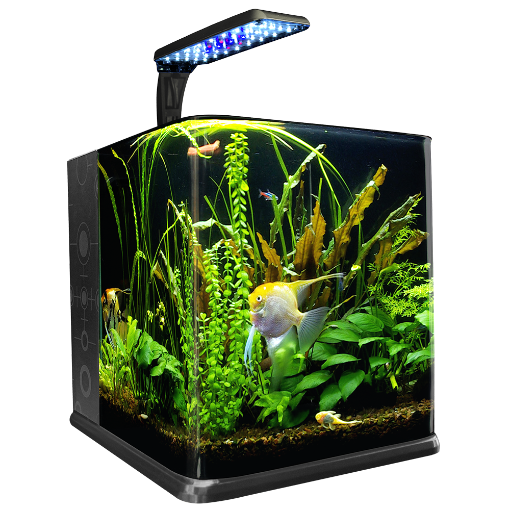 PECERA NANO CUBO 18 LTS