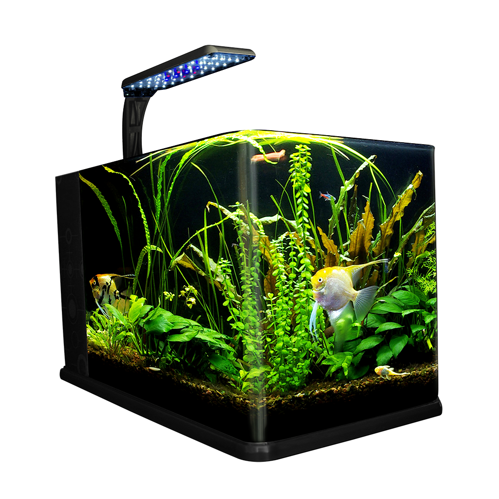 PECERA NANO LARGO 14 L