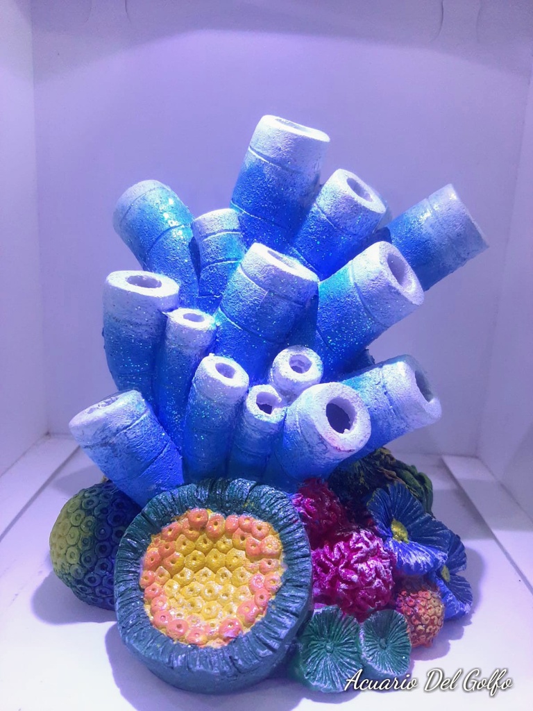 ARRECIFE LED MULTICOLOR
