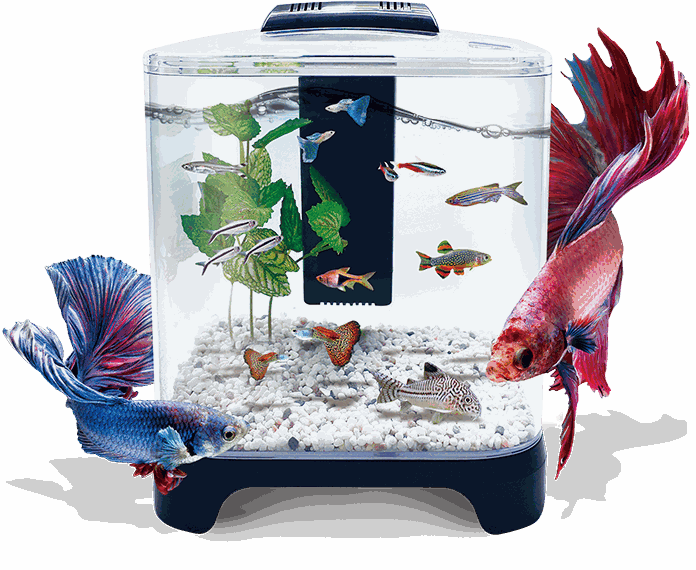 [FL8917] ACUARIO MINI 6 LTS